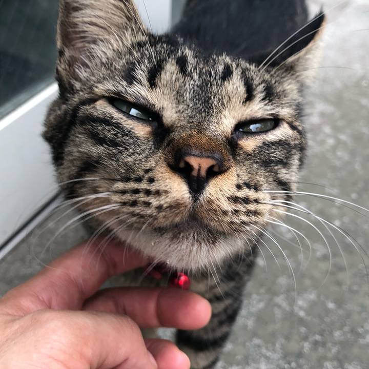 E1ba69f9 0103 4dc8 914a 00cacdfc4145 1534092160784