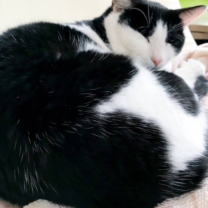 E1ba837a ef79 48e9 a167 ca57e3eeb5fb 1514709752487