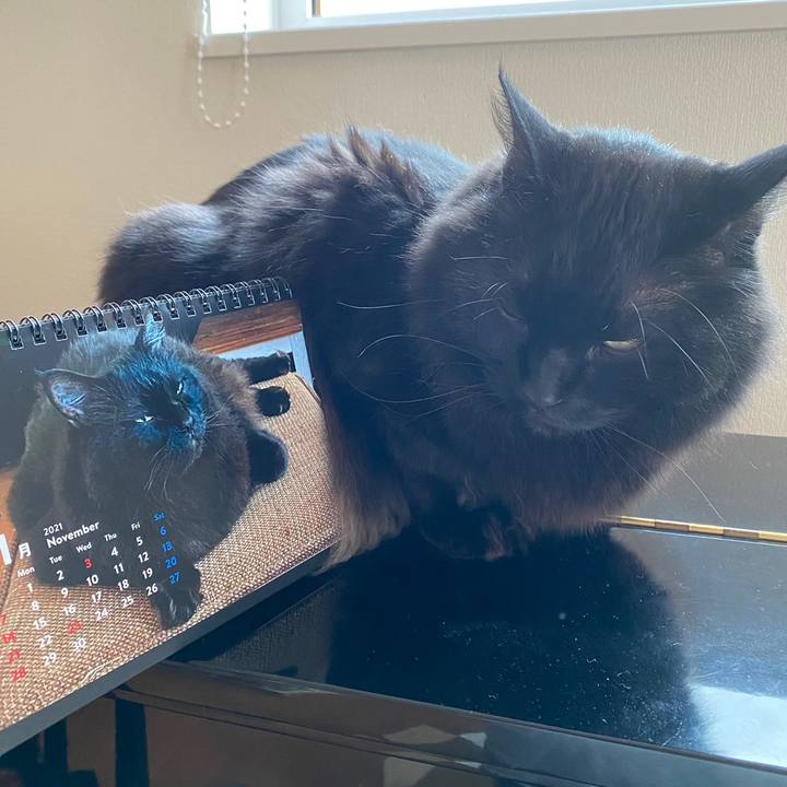 E1ba948f 91cd 4dff 9652 e81628c5bbe4 1635722367157