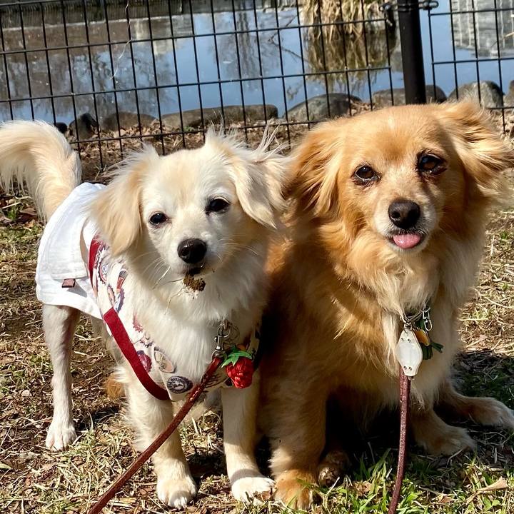 E1ba9de5 4259 4b2a ba6f 14060cb9403a 1647054024010