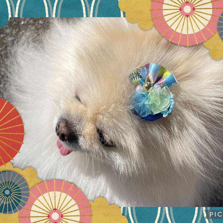 E1bab4b7 b987 4982 a9ea a9aba99463c5 1736746112387