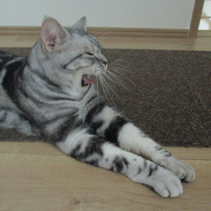 E1bad284 5b5e 4abc b305 98d2bcc73ea8 1565682071699