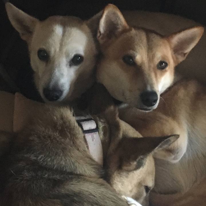 E1baef23 5f21 4a38 aec6 ceef42fae387 1540559523007