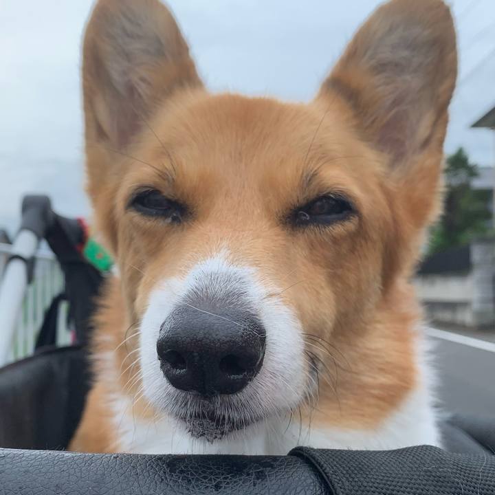 E1baf7f1 6ccd 4319 b764 af9a37665db7 1629675016433