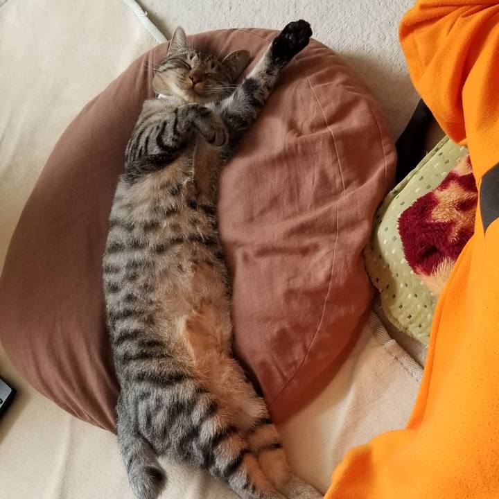 E1baf8d2 57a5 41c5 88cc 47b997602263 1685272235022