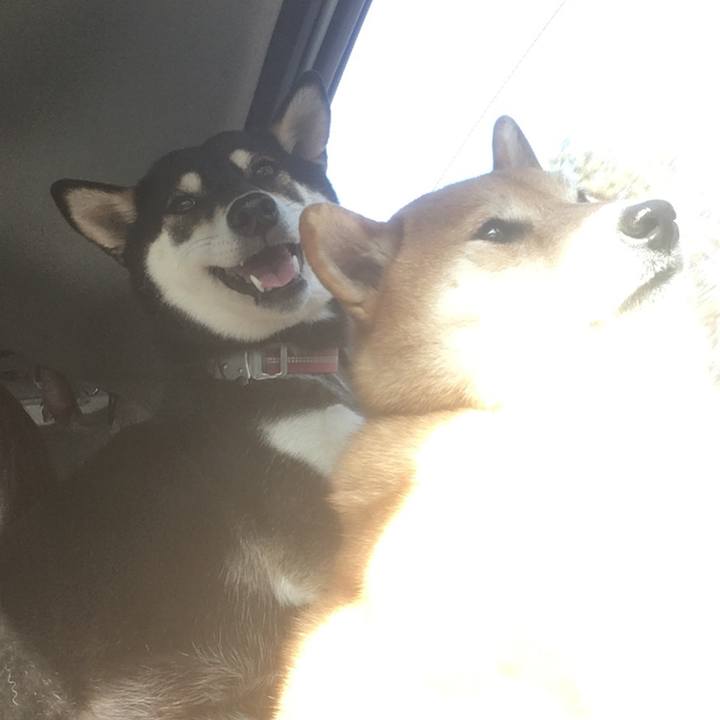 E1bb16d9 a3aa 4ca8 9237 5abef6384a9b 1577800332155