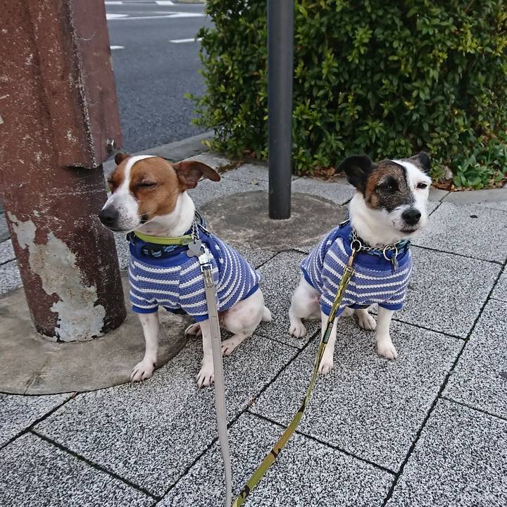 E1bb205d a227 4a19 a52b 558a42facc1b 1581634602235