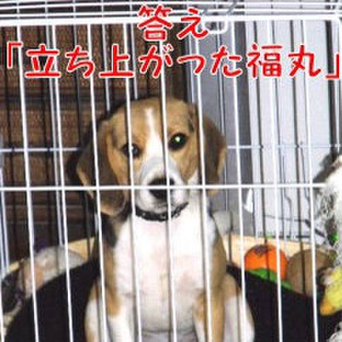 E1bb6dc9 1b57 4a45 9565 fd46a5bdca81 1680653757436