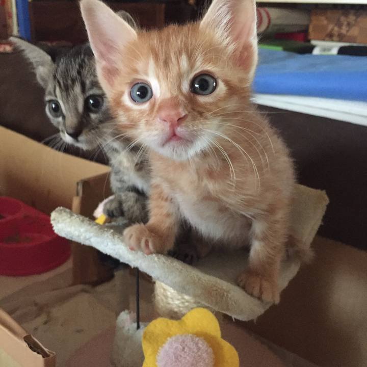 E1bb78eb 8d5a 4768 a249 7e25ca410134 1533947689807