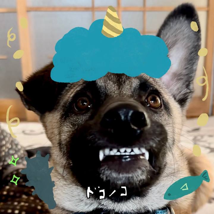 E1bb8a9b 03a9 45f1 9203 7e5de38663d2 1707022638198