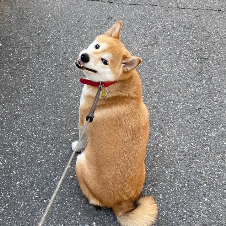 E1bb8b81 f703 4248 93fb b182279db72a 1591786204075