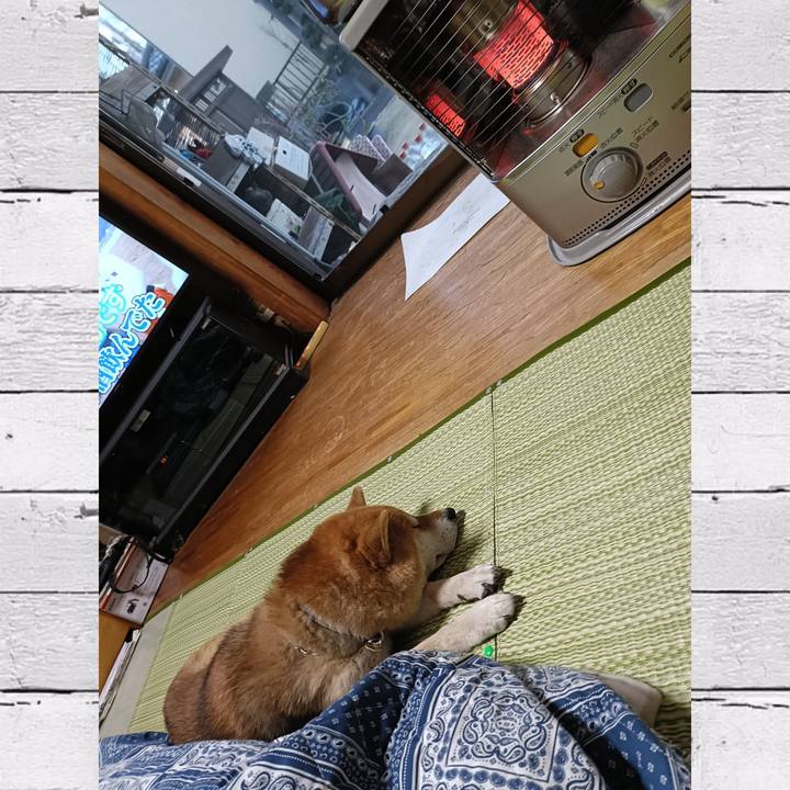 E1bb9bec 682f 4458 96c6 4f90b394cefc 1768742532307