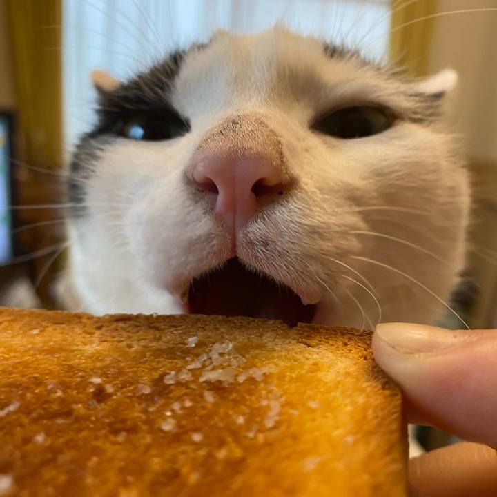 E1bba859 b3c3 4654 9d04 d0f4d08e81b9 1611987835925