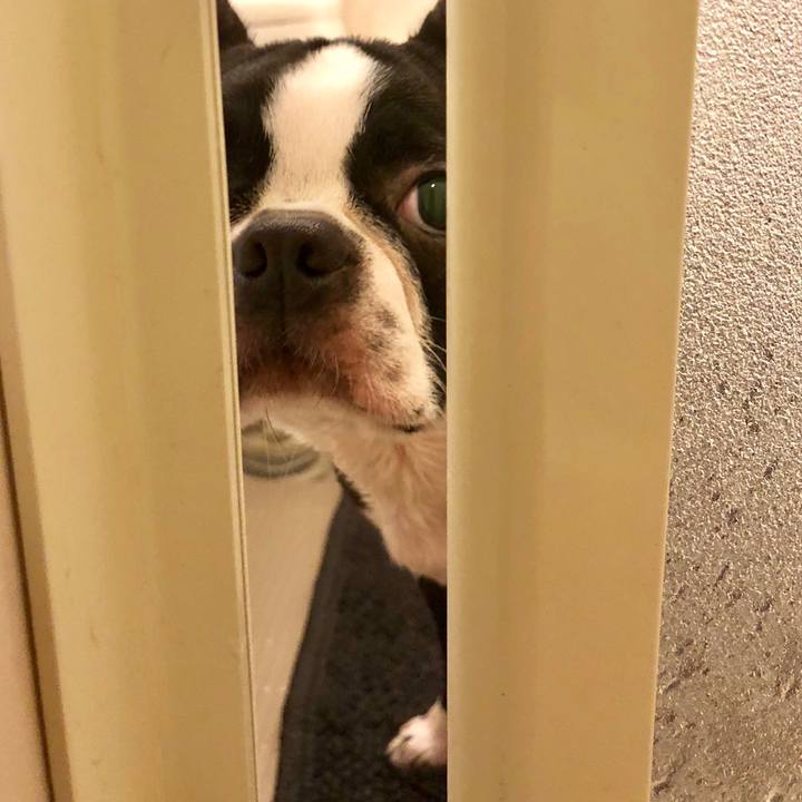 E1bbb01a 1c07 4e7a bdde 599fcae1eba2 1515633146683