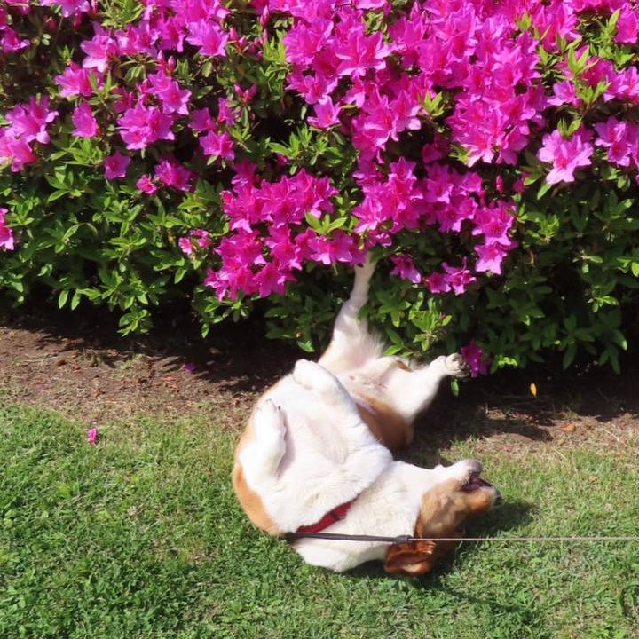 E1bbc0c0 7996 488c 8212 f2c9f0bff819 1682470360159