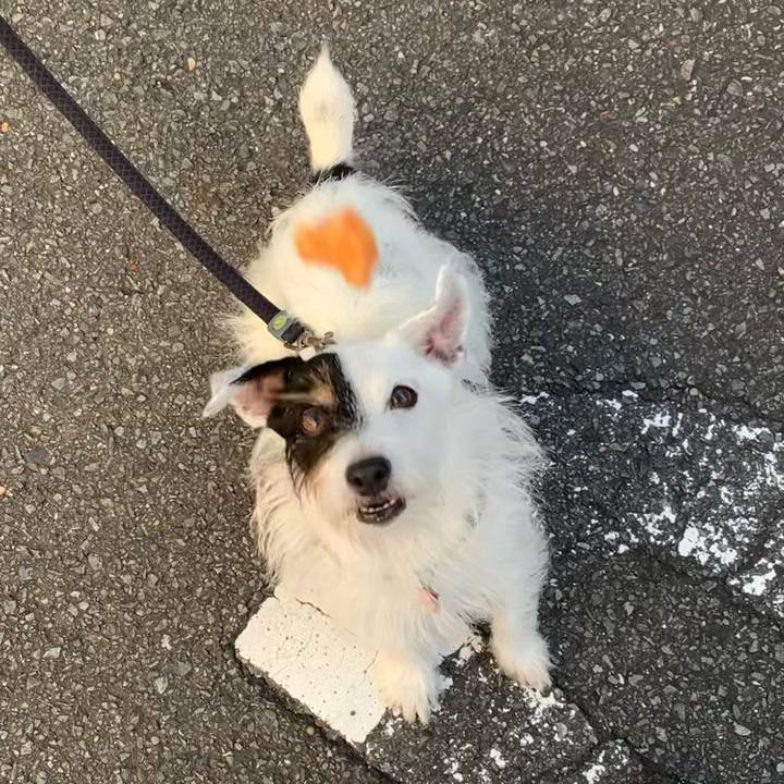 E1bc020e 69e3 4e91 b1bf 753a26579cde 1662333158493