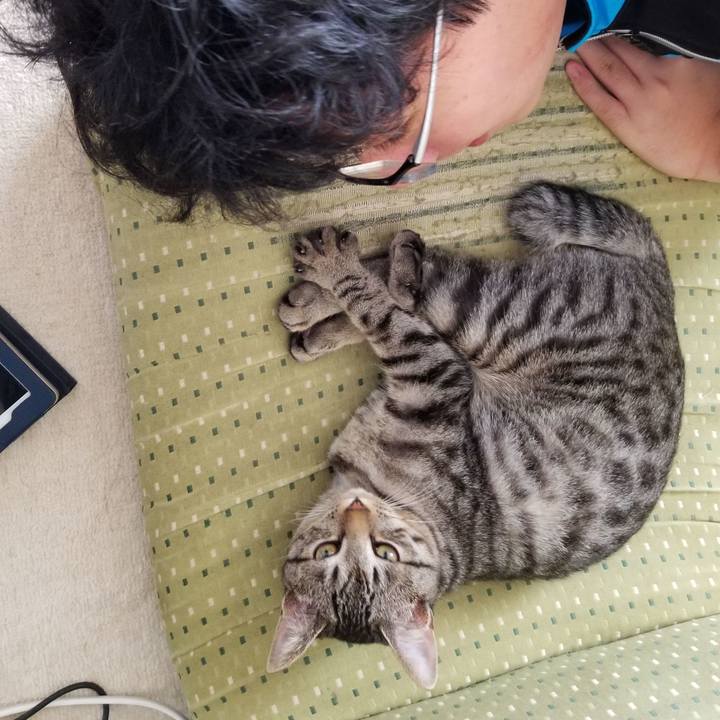 E1bc13a6 3152 4446 803c 08868b4fcb9c 1673705024051