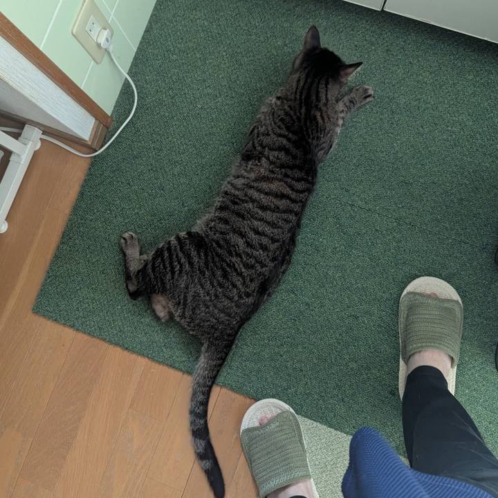 E1bc2949 d831 4a3a a041 184629a63736 1745492620516