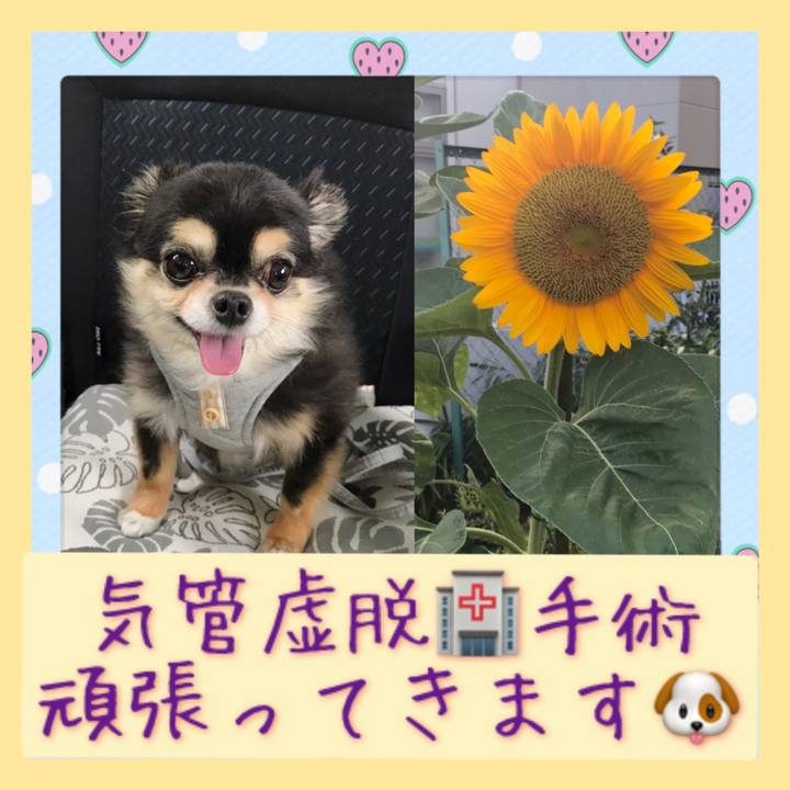 E1bc2ba7 0e69 49ef be37 0838717ec827 1629933574475