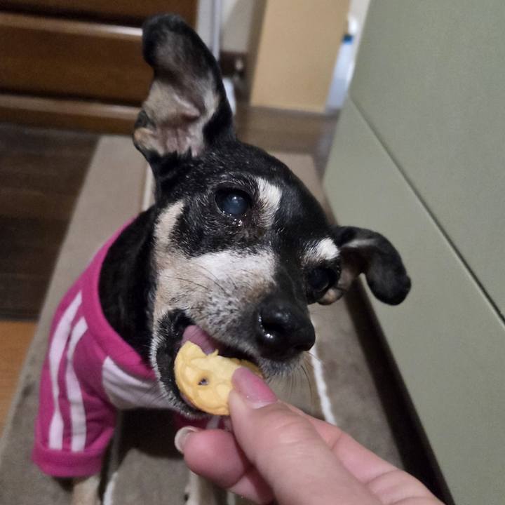 E1bc438e 30c6 489d 8cd0 dd355d6dcb9b 1773863324205