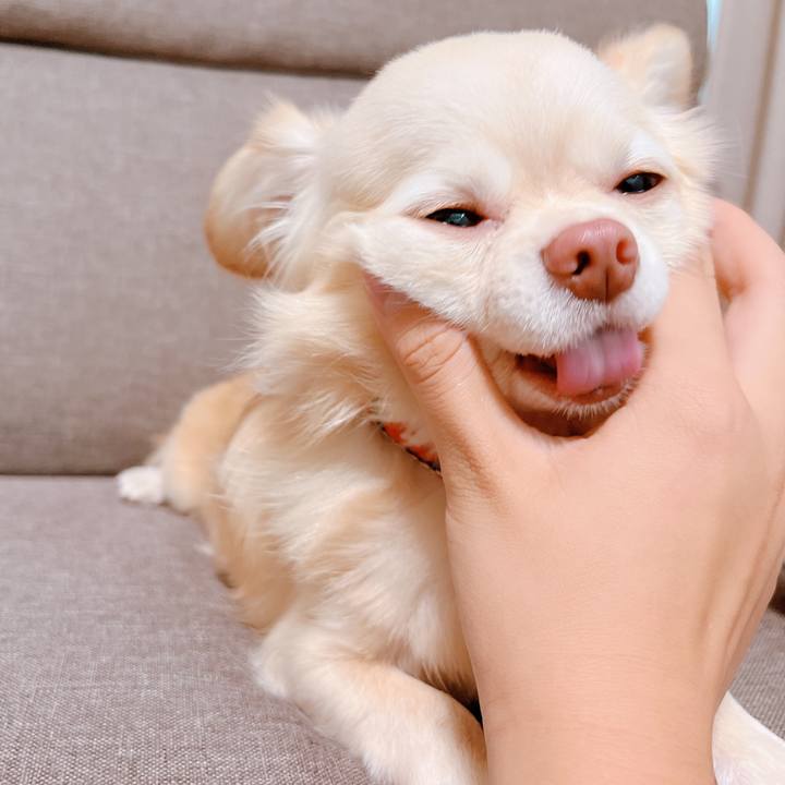 E1bc44db 463c 4d2e 8df0 22a1f451d7de 1661396213639