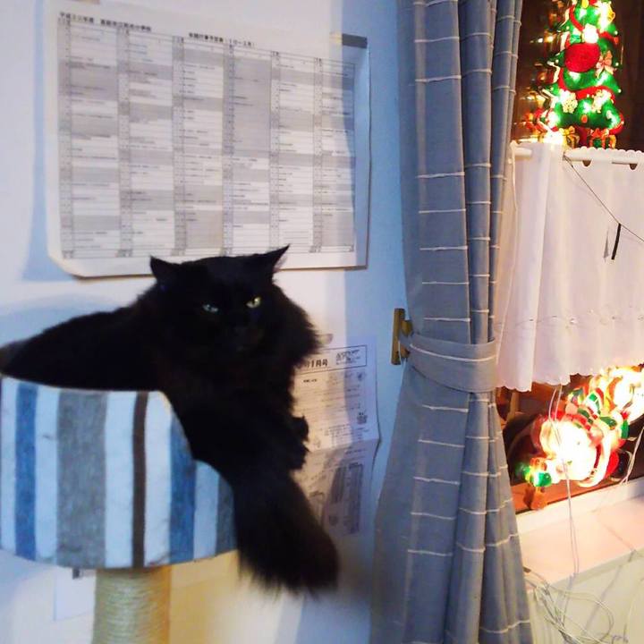 E1bc9218 f086 4b97 a675 800f9bb0e93c 1545651299257