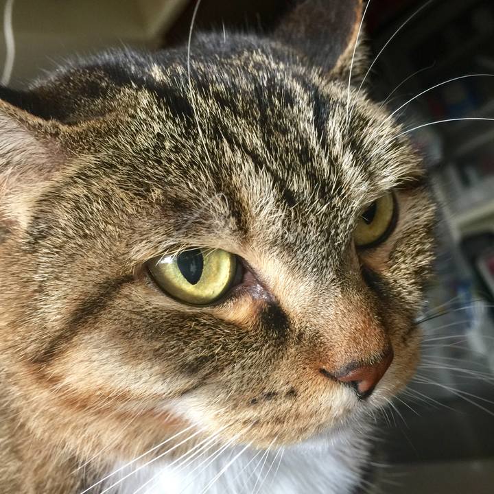 E1bc9d5e 706f 4e42 9b2d 397768f256b6 1576033618284