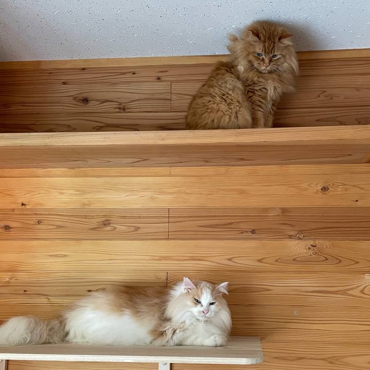 E1bcba0b 0841 422e 9250 c41a34161c95 1659734218641