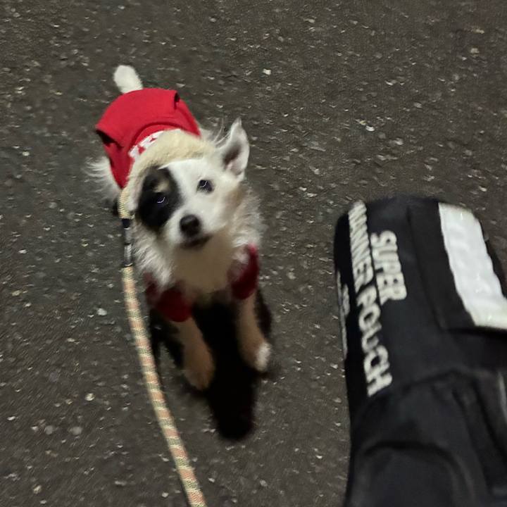 E1bcd68f c119 48dd 9705 59fb6a8f53b9 1765284082375