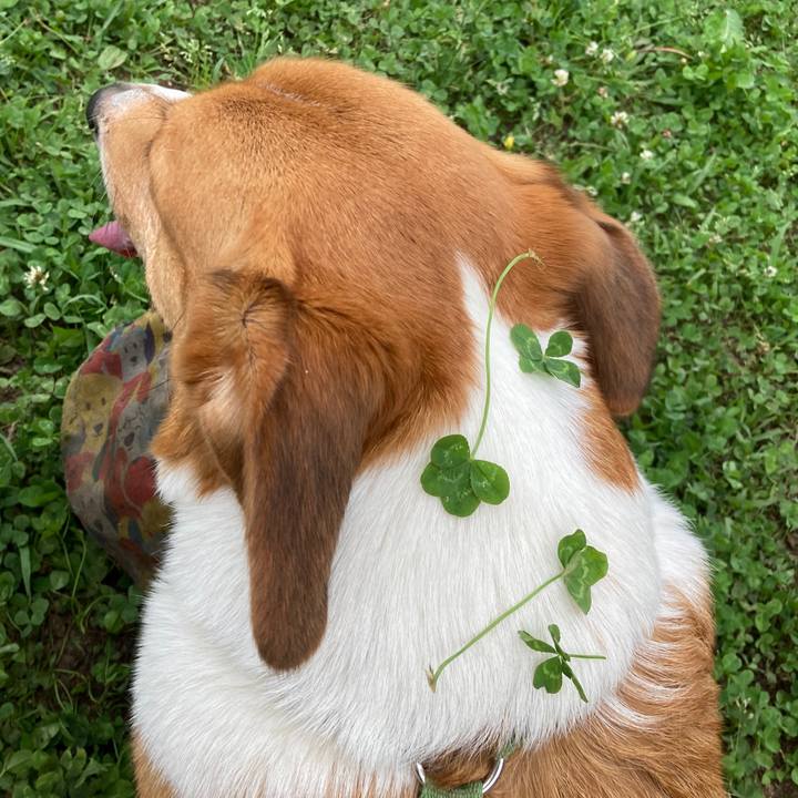 E1bd029e 3586 4e5c b554 ff0a232baec7 1748477617829