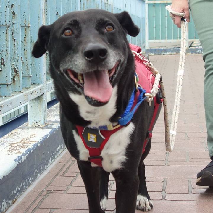 E1bd23ed 0a5b 4d98 b808 e91eb60c4d3c 1686013307330