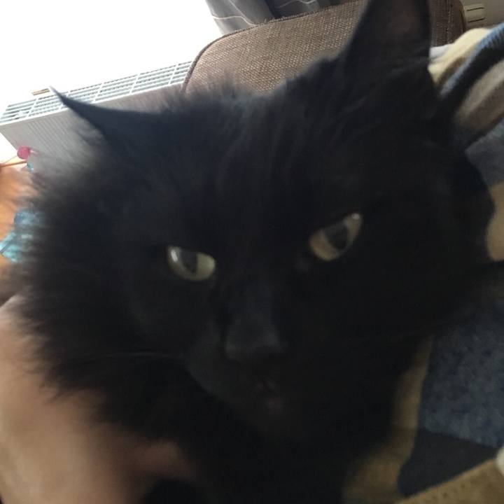 E1bd49d3 e720 4aa5 ae5f 1d396d63df6e 1548039943850