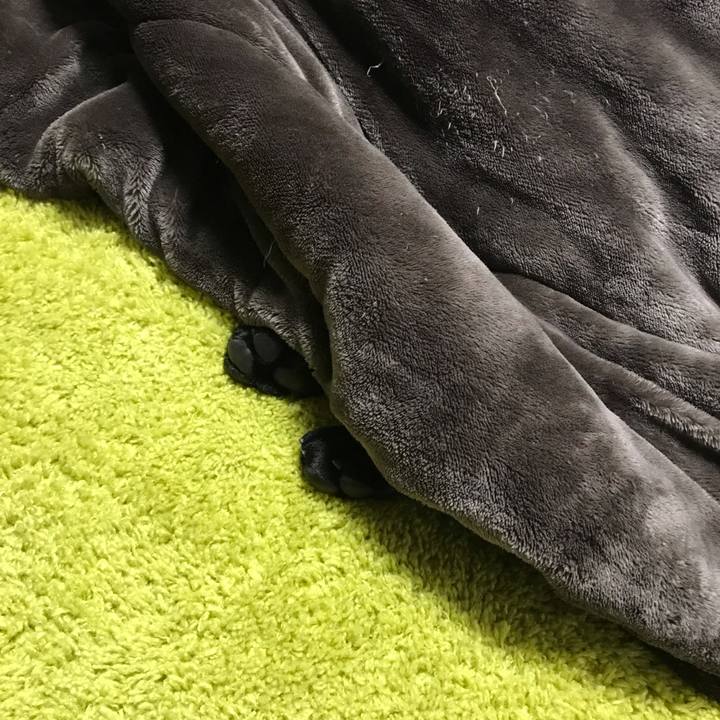 E1bd6ffc 1682 4335 8f3a 9ba2e52e0017 1547553401941