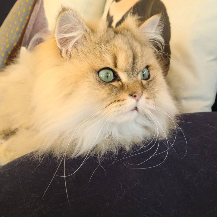 E1bd7eae b42a 4e02 9718 63de515f6990 1646804743725