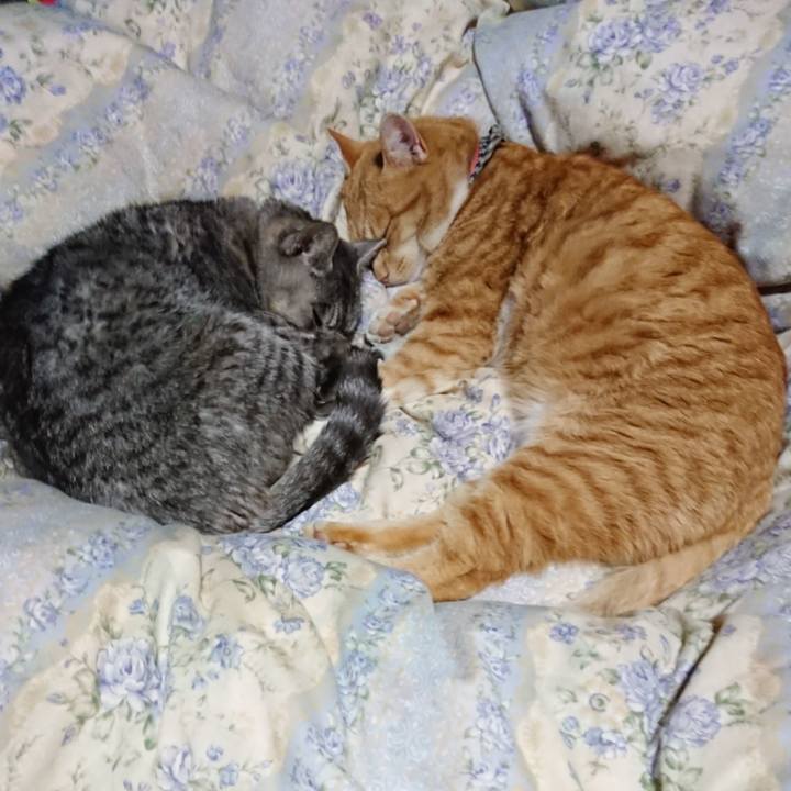 E1bd921f 71c8 4c94 8e90 8215fa75f103 1576157688437