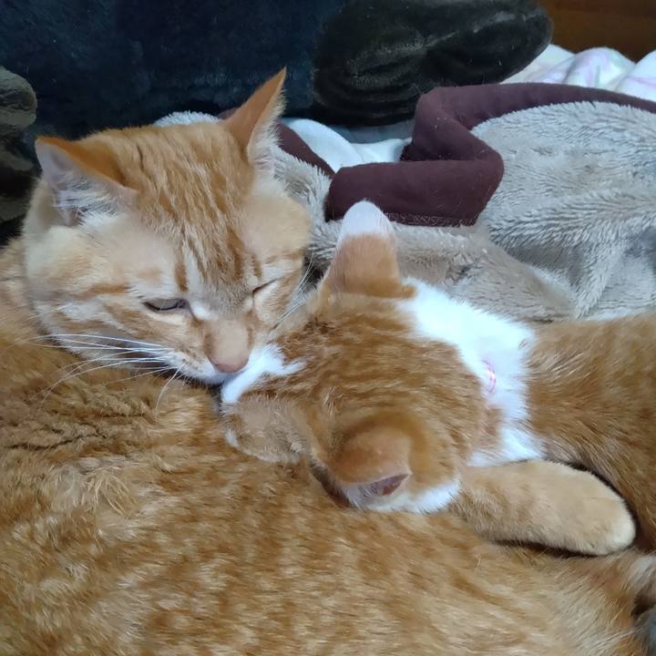 E1be0e80 c298 47a2 becf 0b9277cb63d6 1744618094810