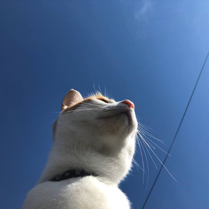 E1be1c52 b6f3 424f 9782 d9660550b78a 1539833196750