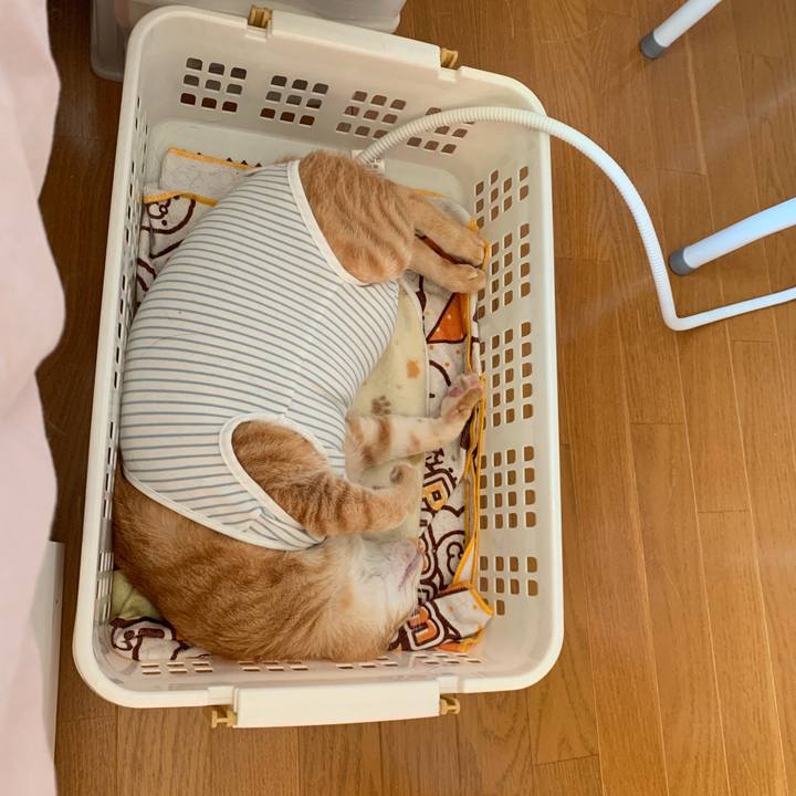 E1be2389 e9b7 433c 8b01 8036c108e351 1569713231146