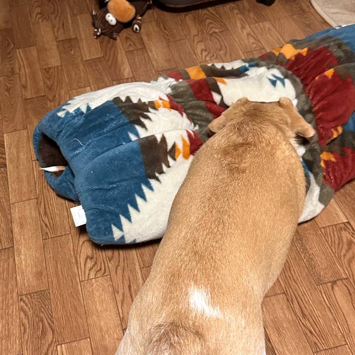 E1be3dce 576d 4638 be49 baccaf2c3cae 1665064252171