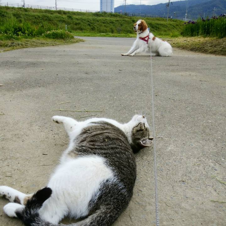 E1be5ea4 cd3f 4e57 abac 4a634055d3bf 1559260220999