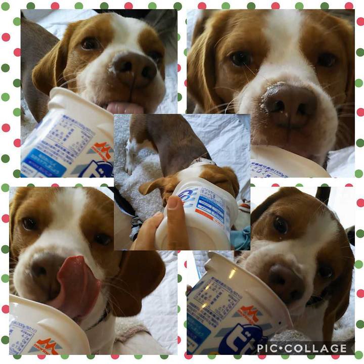 E1be67cd 41d0 4f28 a926 4a6424e73d26 1557538913798