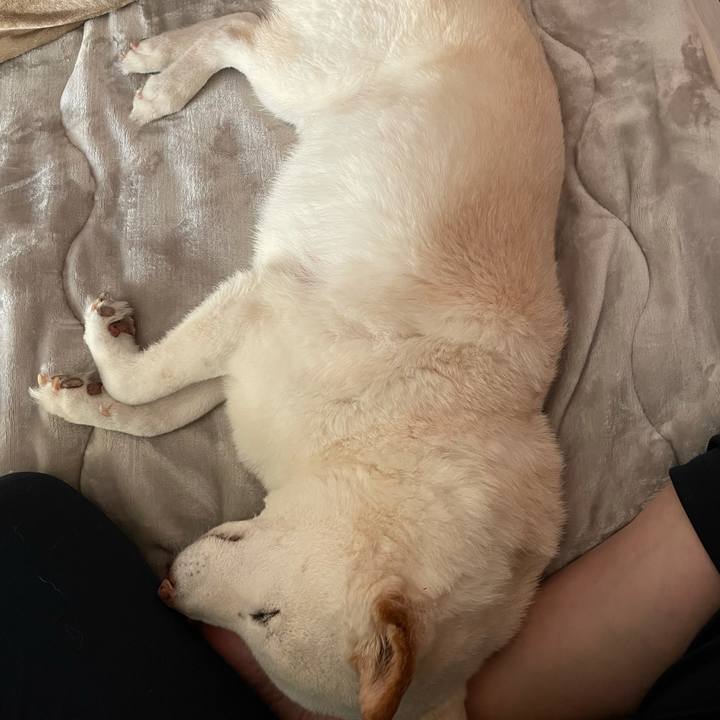 E1be969d 63e4 43af 895b ac116281fab8 1635039854999