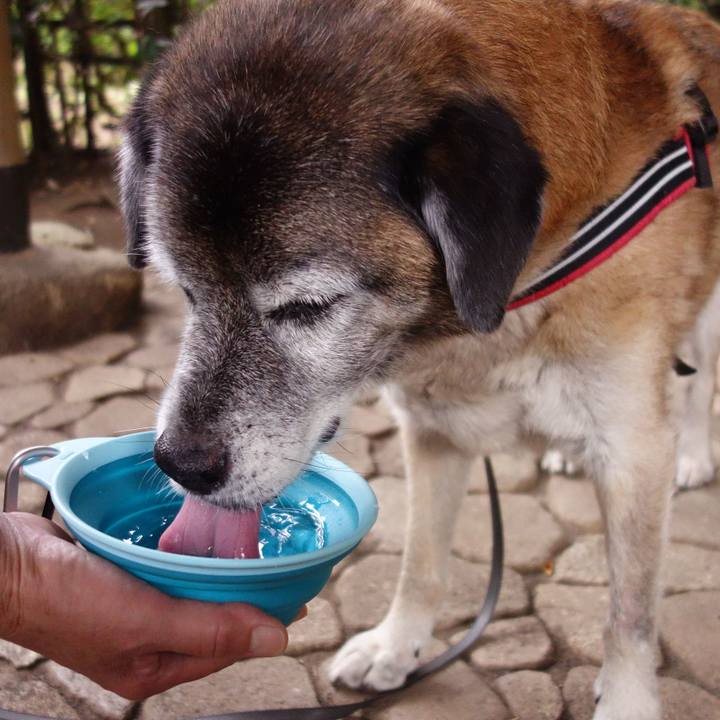 E1beb514 f710 4e04 8a30 0f20109aaf84 1675817869998