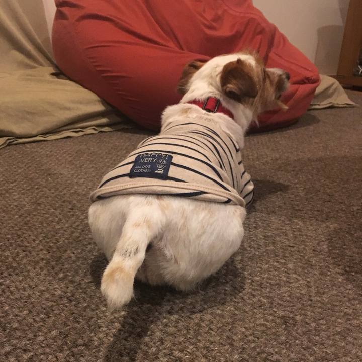 E1becb6e f3e6 48bc a5b5 04d6d119800d 1558359114015