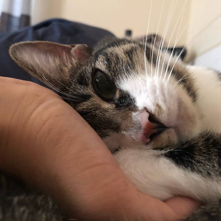 E1bf098e 8816 4c6c ae36 456f242e9e61 1602861530035