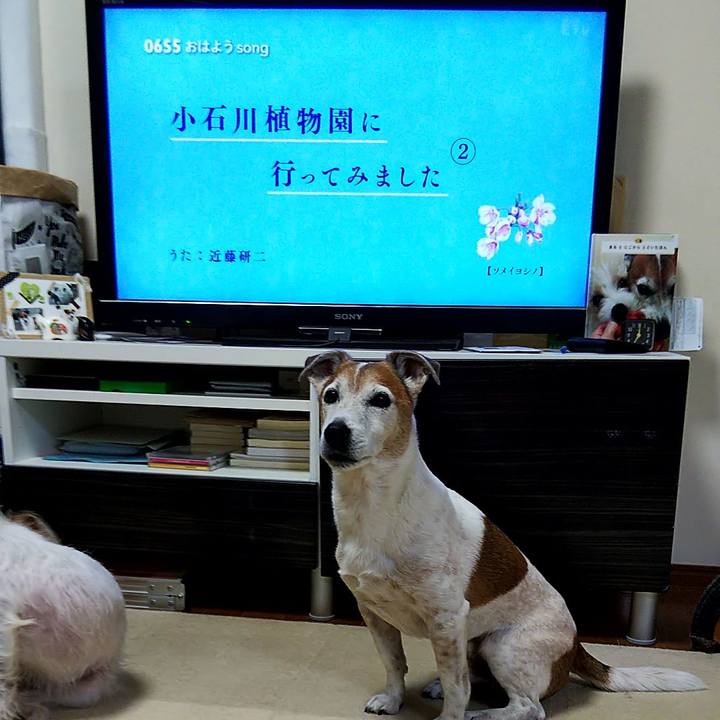 E1bf173c 5e0d 4789 a8e9 940d72466f8b 1554417298165