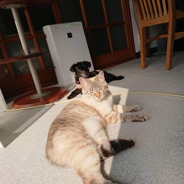 E1bf25c1 c025 4eb8 8f34 fef312ff63a1 1519449676129