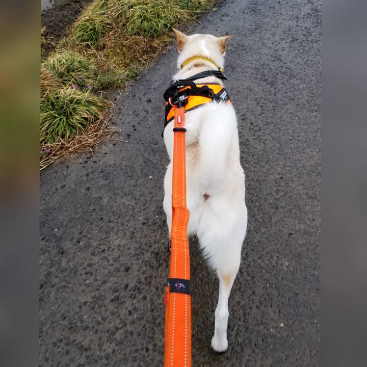 E1bf3339 dbb2 4d9d ab24 a10d9ef265ce 1615601155103