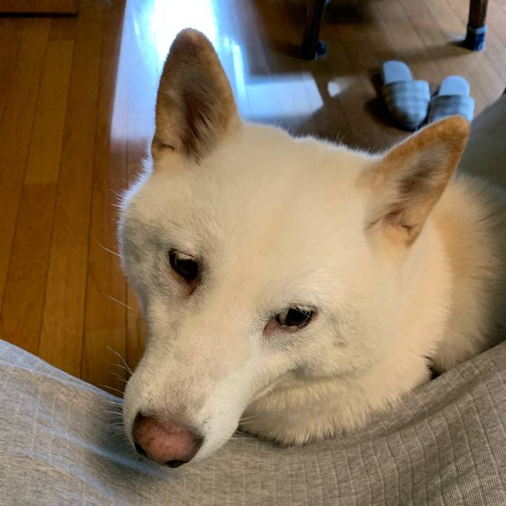 E1bf5741 de35 44f3 933a ff1559a3978d 1598653572975