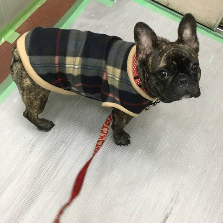 E1bf7d6f 4740 467b 8d05 d8edb26cccf3 1511189583667